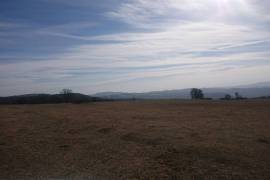 Land For Sale, Non Agricultural, Orbeti 