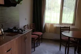 Daily Rent, 2 Room, Tbilisi