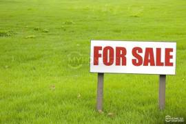 Land For Sale, Non Agricultural, Vashlijvari