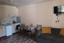 For Rent, 1 Room, New building, Adigeni, Abastumani 