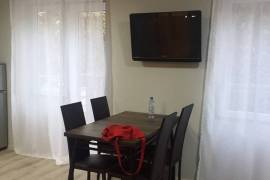 For Rent, 1 Room, Old building, Tbilisi, saburtalo