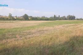 Land For Sale, Agricultural, Airport