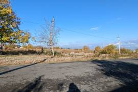 Land For Sale, Agricultural, Vardisubani 