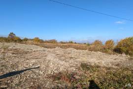 Land For Sale, Agricultural, Vardisubani 