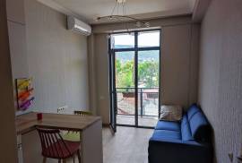 For Rent, 2 Room, New building, Tbilisi, Chugureti