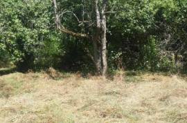 Land For Sale, Agricultural, Qvemo Sharakhevi