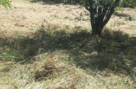 Land For Sale, Agricultural, Qvemo Sharakhevi