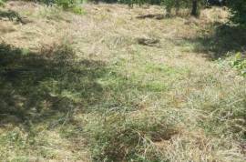 Land For Sale, Agricultural, Qvemo Sharakhevi