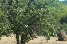 Land For Sale, Agricultural, Qvemo Sharakhevi