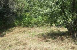 Land For Sale, Agricultural, Qvemo Sharakhevi