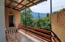 Daily Rent, 2 Room, Borjomi , Likani