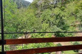 Daily Rent, 2 Room, Borjomi , Likani