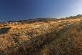 Land For Sale, Agricultural, Telatgori