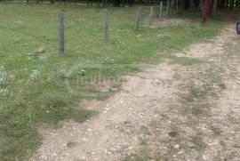 Land For Sale, Agricultural, Norio 